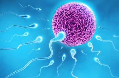 Bayi Pertama Hasil 'Robot Sperma' Lahir