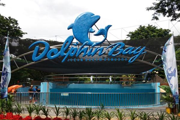 Dolphin Bay di Taman Impian Jaya Ancol/beitajakarta.com