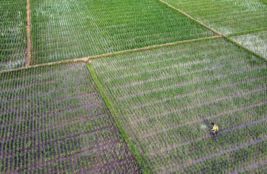 Nilai Tukar Petani Anjlok pada April 2023, BPS Ungkap Sebabnya