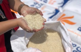 BPS: Kenaikan Harga Beras Tertinggi Terjadi di Tingkat Eceran April 2023