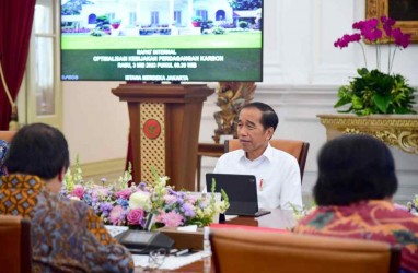 Hasil Rapat Jokowi soal Karbon: Mekanisme Pasar akan Diatur OJK