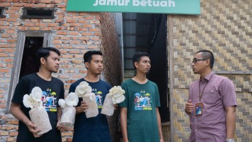 Poktan Jamur Betuah Bersama PLN Dongkrak Produk Tingkatkan Ekonomi