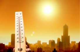 Gara-gara Gelombang Panas, Suhu di Vietnam Tembus 42 Derajat Celcius