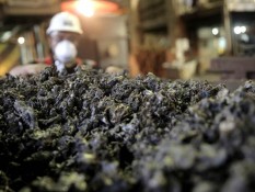 Pemerintah Siapkan Skema Harga Acuan untuk Nikel