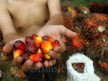 Sawit Sumbermas (SSMS) Tebar Dividen Rp1,4 Triliun, Cek Jadwalnya