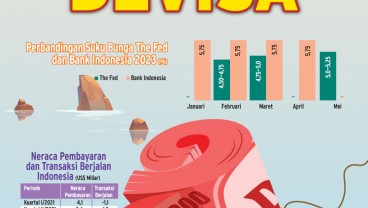 STABILITAS RUPIAH : Waswas Cadangan Devisa