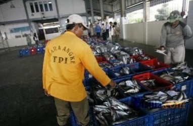 Biaya BBM Memengaruhi Produksi Ikan Tuna Bali