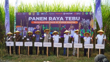 Jalankan Program Agrosolution, Pupuk Kaltim Panen Raya Tebu di Sleman