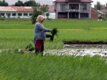 Alih Fungsi Lahan Pertanian di Jatim, Begini Strategi Pengendaliannya