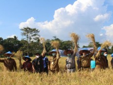 Perkembangan Desa Tumbuh Pesat Pasca Terbitnya UU Desa