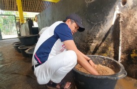 Lembur Pakuan Jadi Laboratorium Lingkungan dan Pertanian Organik di Kabupaten Subang