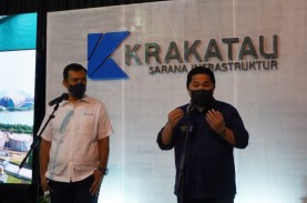 Direktur Krakatau Steel (KRAS) Melati Sarnita Mengundurkan…