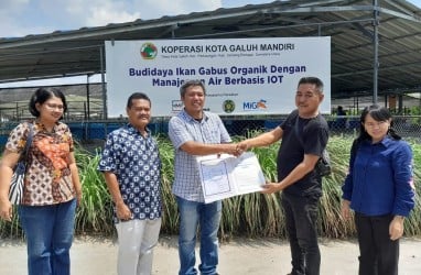 Pusat Pembenihan Ikan Gabus Sergai Berhasil Memperoleh Sertifikat CPIB