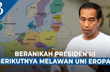 Jokowi untuk Presiden RI Selanjutnya: Harus Berani Lawan WTO!