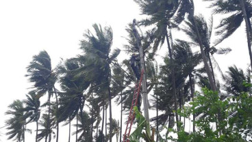Cuaca Ekstrem di Sulsel, Begini Jaminan Keamanan Listrik