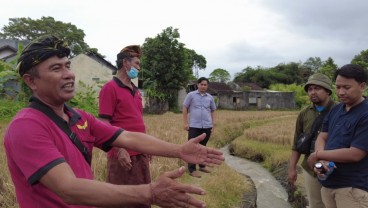 Pemkab Tabanan Gandeng UMM Kembangkan Subak Bali