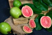 10 Buah Penambah Darah, Rasanya Enak dan Menyehatkan