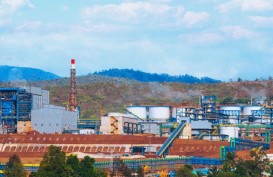 Larangan Ekspor Nikel, POSCO hingga BASF Berbondong Bangun Smelter di Indonesia