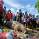 Warga Ambon Kaget, Dugong Berukuran 2 Meter Ditemukan Mati di Pinggir Jalan