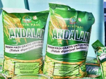 Genjot Produksi Pertanian, Sulsel Salurkan Ribuan Benih dan Bibit Gratis Lagi untuk Para Petani