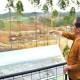 Progres IKN 29 Persen, Ini Sederet Proyek yang Tengah Dibangun