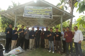 Bukit Asam Sejahterakan Petani Lewat Budidaya Beras…