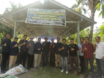 Bukit Asam Sejahterakan Petani Lewat Budidaya Beras Organik