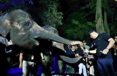 Tiket Masuk Surabaya Night Zoo Dipatok Rp100.000, Dapat Apa Saja ?