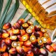 Jelang IPO, Pembentukan PalmCo Bisa Amankan Pasokan Minyak Goreng