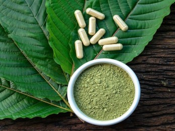 Pengusaha dan Petani Minta Pemerintah Intervensi Kratom Ekspor