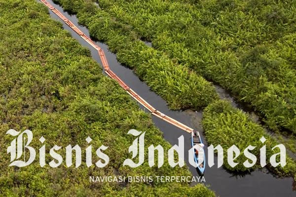 Bayang-Bayang Shadow Economy di Atas Pertumbuhan Indonesia