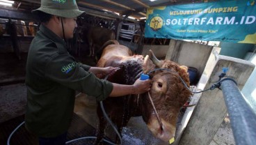 Terus Melangkah, Petani Milenial