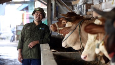 Faqih Ibrahim, Petani Milenial yang Sukses Tingkatkan Skala Bisnis Peternakan Sapi Potong