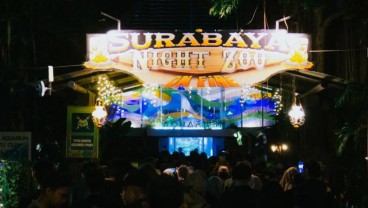 Belum Dibuka, Surabaya Night Zoo Curi Perhatian Netizen
