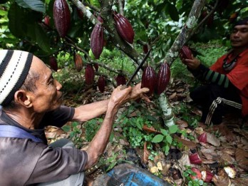 Pertanian Berkelanjutan Dongkrak Kesejahteraan Petani Indonesia