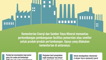 PROYEK SMELTER LAMBAT : Sanksi Menanti Eksportir Mineral