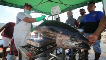 Nilai Ekspor Tuna, Cakalang dan Tongkol Indonesia Capai US$732,9 Juta