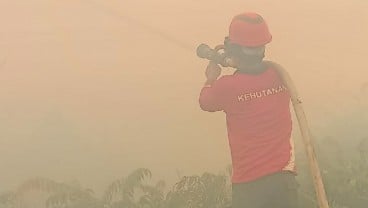 Karhutla di Pesisir Selatan hingga Hari Ketiga Capai 100 Ha, Tim Terkendala Sumber Air