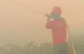 Karhutla di Pesisir Selatan hingga Hari Ketiga Capai 100 Ha, Tim Terkendala Sumber Air