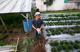 Program Petani Milenial Makin Terakselerasi Usai Pemprov Gandeng Kabupaten/Kota