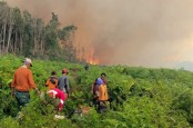 BPBD: Karhutla 100 Ha Lahan di Pesisir Selatan Sumbar Dampak Fenomena El Nino
