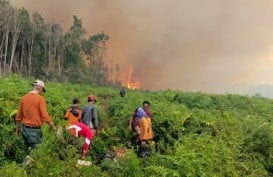 BPBD: Karhutla 100 Ha Lahan di Pesisir Selatan Sumbar Dampak Fenomena El Nino