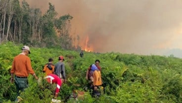 BPBD: Karhutla 100 Ha Lahan di Pesisir Selatan Sumbar Dampak Fenomena El Nino