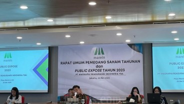 Modal Minimal Perusahaan Reasuransi Rp2 Triliun, Marein Rancang Pendekatan Organik