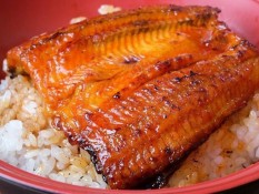 Ini Manfaat Ikan Sidat Alias Unagi yang Terkenal di Jepang,