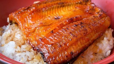 Ini Manfaat Ikan Sidat Alias Unagi yang Terkenal di Jepang,