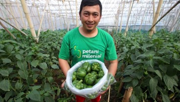 Choirul Ingin Bangun Sistem Pertanian Modern Berbekal Ilmu dari Program Petani Milenial