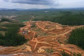 Pemerintah Siapkan 800 Hektare Lahan di IKN untuk Investor