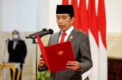 Jokowi Pilih Sosok Menkominfo karena Kompetensi dan Kredibilitas