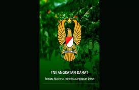Heli Jatuh di Perkebunan Teh Ciwidey Bandung Milik TNI AD